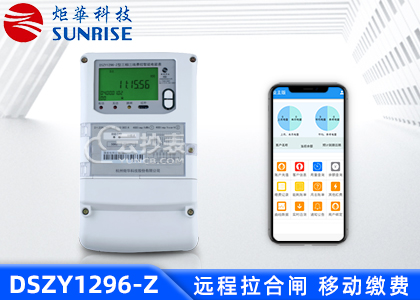 杭州矩华DSZY1296-Z三相载波预付费电能表